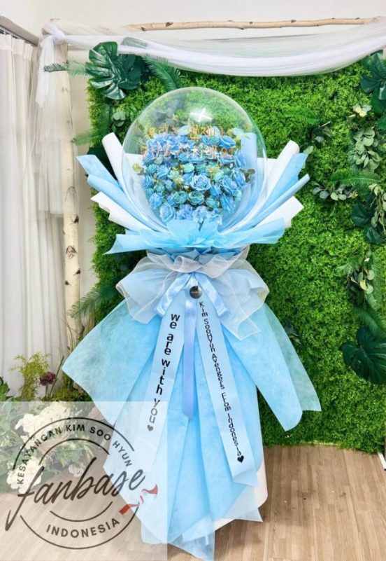kim soo hyun fans