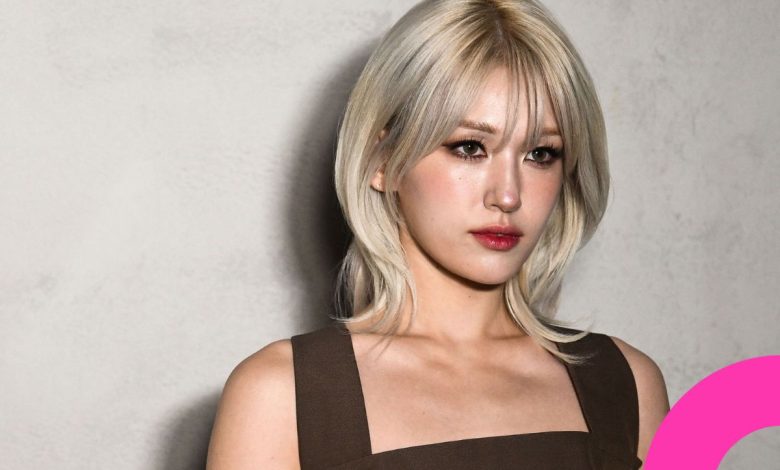 Jeon Somi Neglected by The Black Label