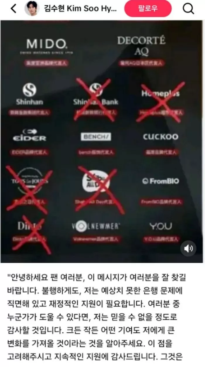 Fake TikTok Account Impersonating Kim Soo-hyun