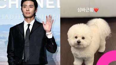 Park Seo-joon Unbothered by Kim Soo-hyun's Controversy, Shares Carefree Update