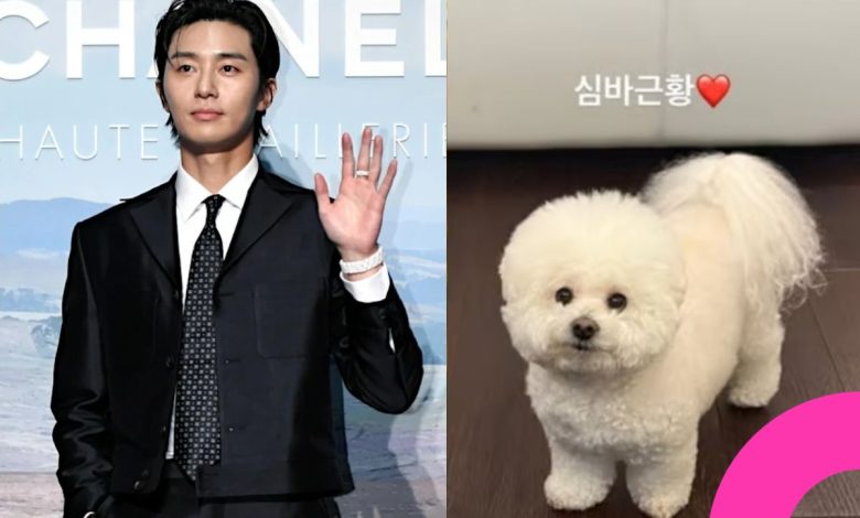 Park Seo-joon Unbothered by Kim Soo-hyun's Controversy, Shares Carefree Update