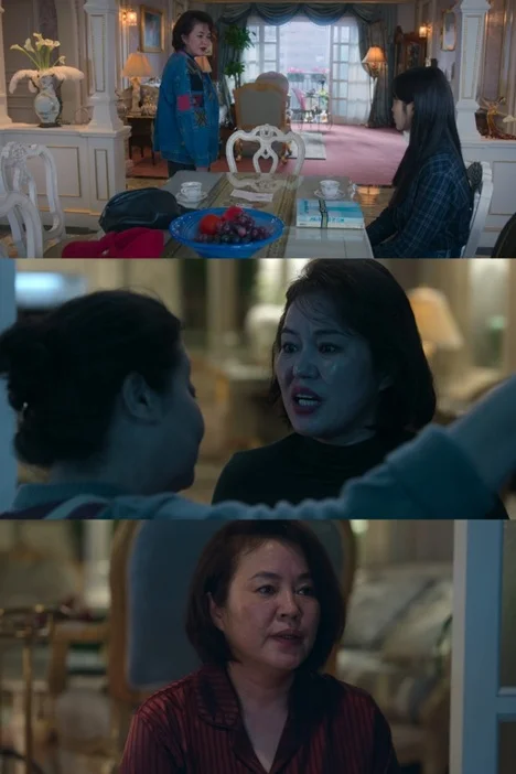 Kim Geum-soon Frames IU as Thief when life gives you tangerines