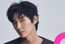 Lee Joon-gi Under Tax Investigation