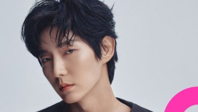Lee Joon-gi Under Tax Investigation