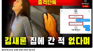 YouTube channel Garo Sero Research Institute-kim-sae-ron