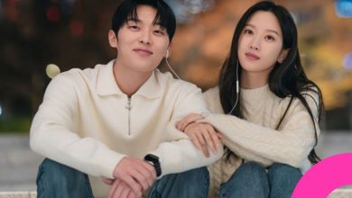 My Dearest Nemesis CP Reveals Key Points for Final Episodes
