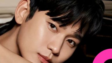 Dinto Terminates Model Contract with Kim Soo-hyun
