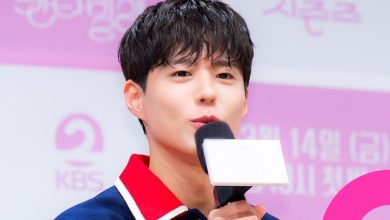Park Bo Gum The Season