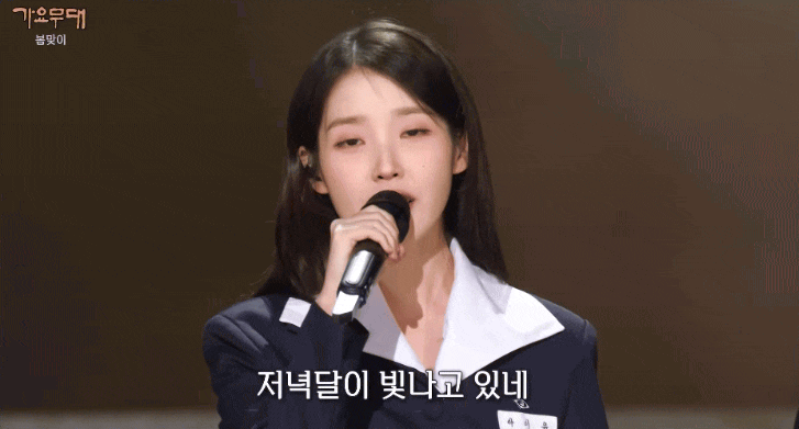 iu park bo gum