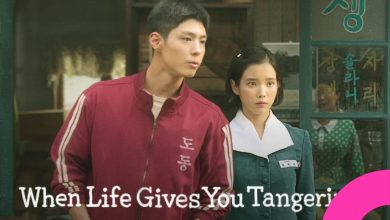 When Life Gives You Tangerines" Hit by Rampant Illegal Streaming in China