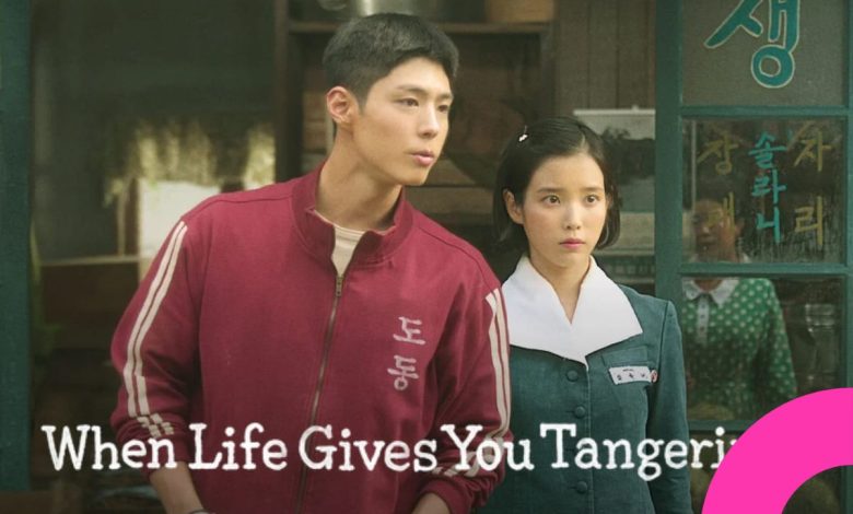 When Life Gives You Tangerines" Hit by Rampant Illegal Streaming in China