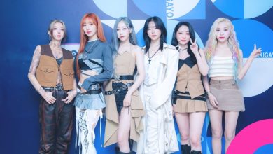 Dreamcatcher 3 Members Leave Agency