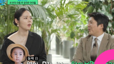 han ga in