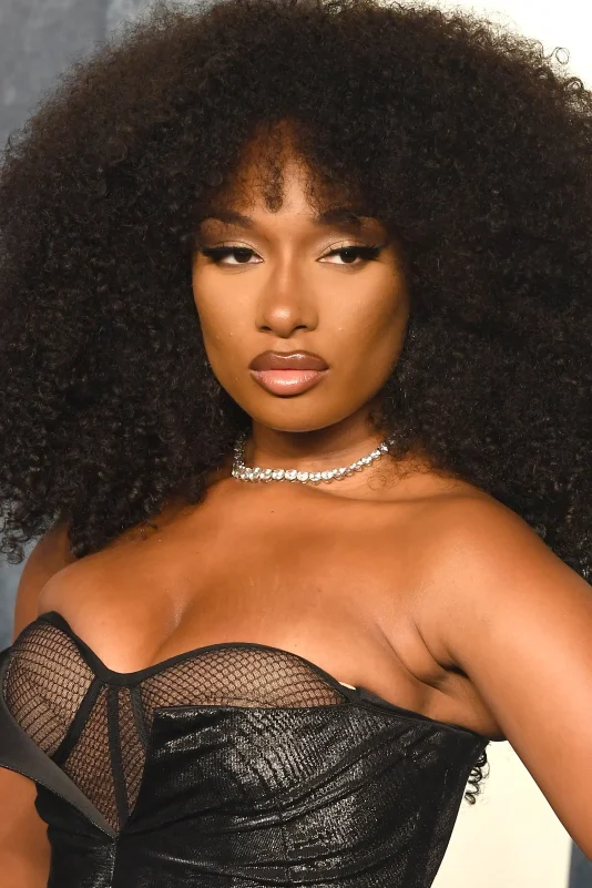 megan thee stallion