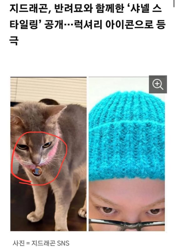 G-Dragon Sparks Dating Rumors Again With Actress After Matching SNS Post lee jooyeon 1