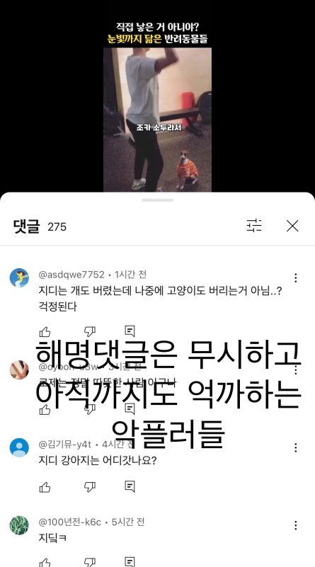 G-Dragon Faces Renewed Criticism Over Long-Standing Pet Controversy 4