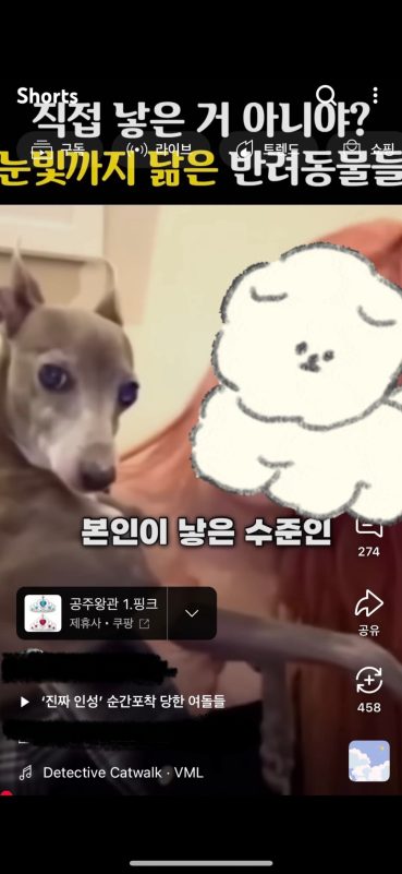 G-Dragon Faces Renewed Criticism Over Long-Standing Pet Controversy
