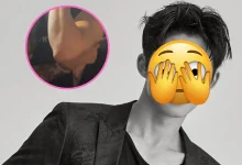 b.i-brisbane-fan-incident-thumbnail