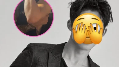 b.i-brisbane-fan-incident-thumbnail