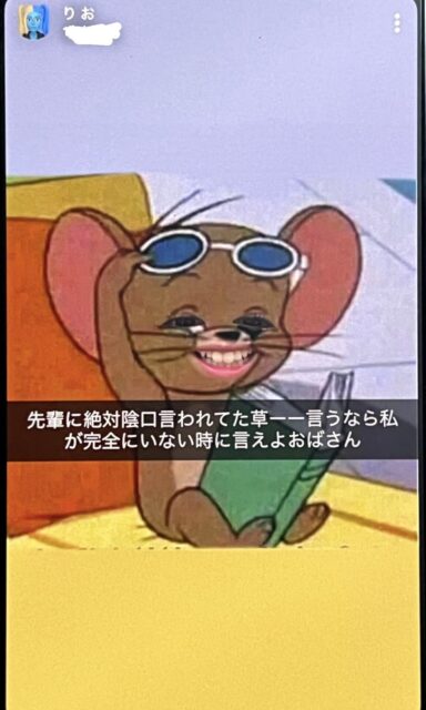 Kitagawa Rio Morning Musume Secret Account Used to Criticize Fellow Members 6