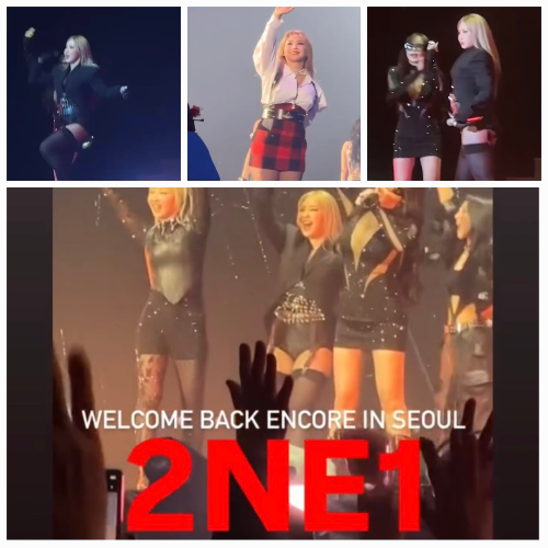 Park Bom Turns Heads in Bold Dress at 2NE1’s Encore Concert 2