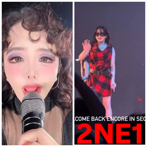 Park Bom Turns Heads in Bold Dress at 2NE1’s Encore Concert