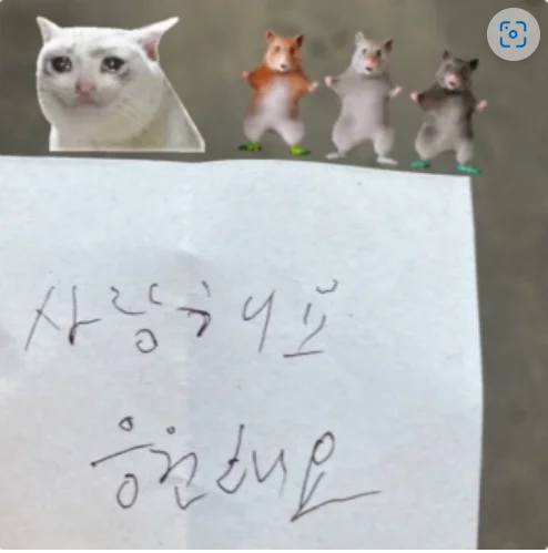 NewJeans, on Hiatus, Tearfully Thank Fans for Their Heartfelt Notes