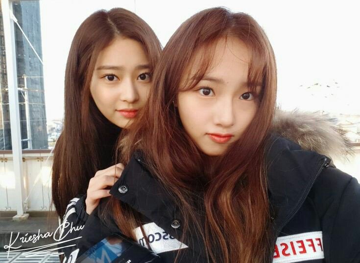 kriesha chu minju izone