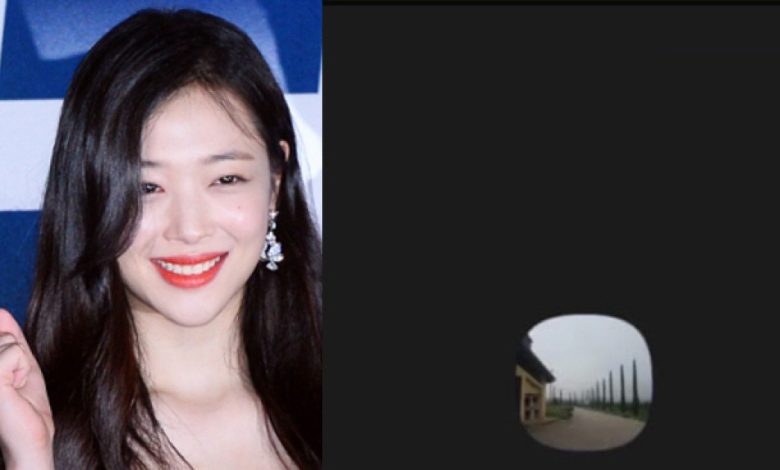 Sulli’s Brother thumbnail