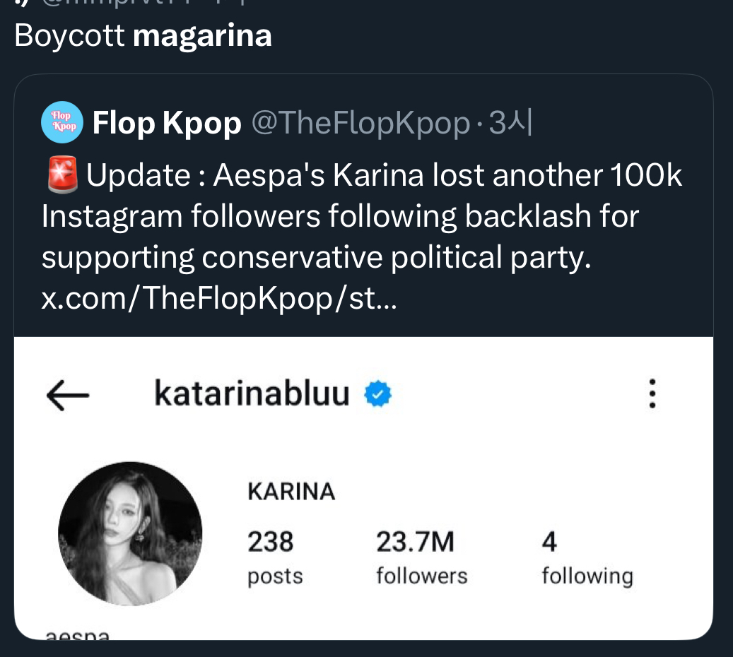 karina magarina political controversyKpop-controversy-socialmedia-screenshot.
