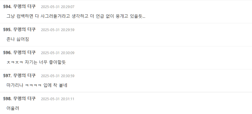 karina magarina political controversyscreenshot-text-korean-comments.
