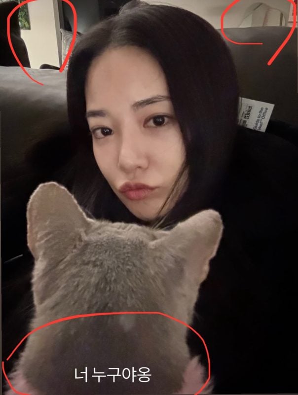 lee joo yeon