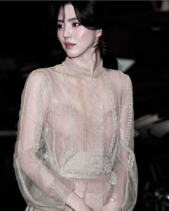 han so-hee dior masterpiecewoman-sheer-dress-lace.