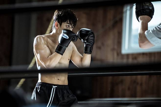 shark: the storm tvingboxing-man-ring-gloves.
