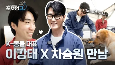 cha-seung-won-animal-shelter-thumbnail