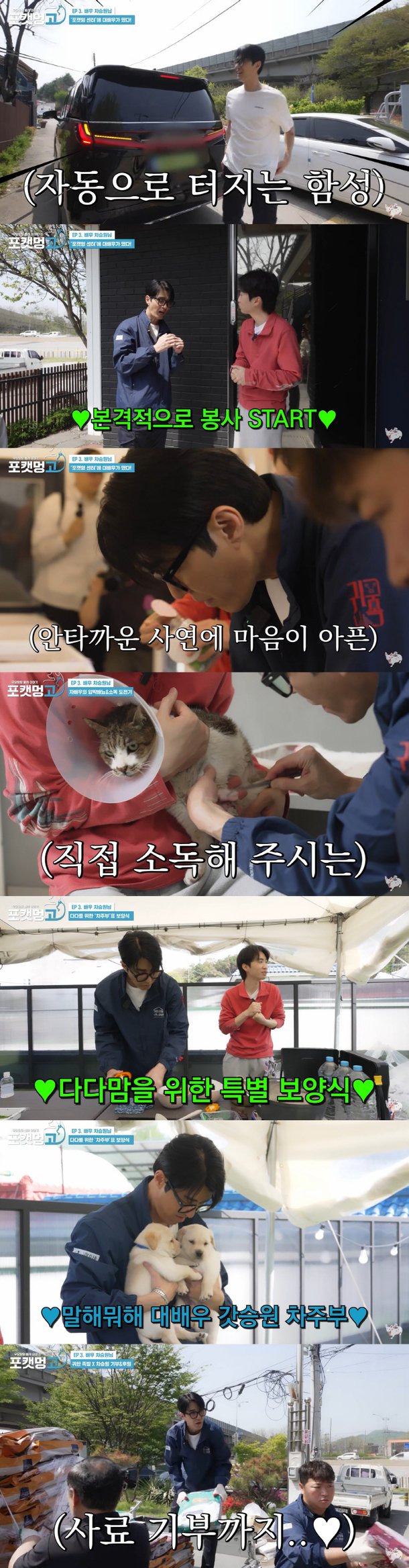 Cha Seung-won animal sheltervolunteering-caring-animals-donating-food.