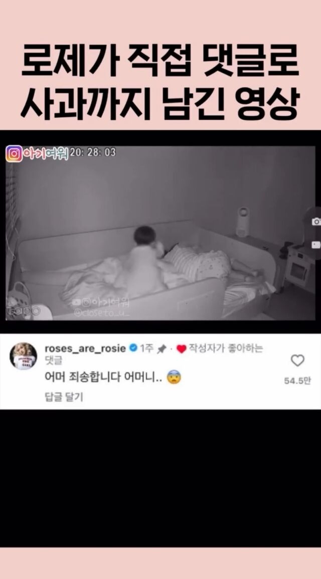 rosé apt. earningschild-bed-surveillance-comment.