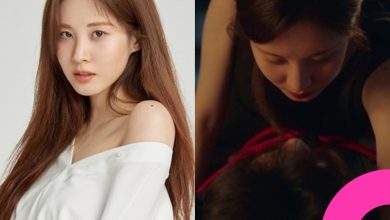 seohyun-love-and-leashes-controversy-thumbnail