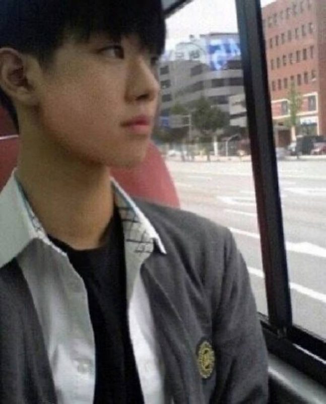 The Inspiring Journey of Ahn Hyo-seop 2