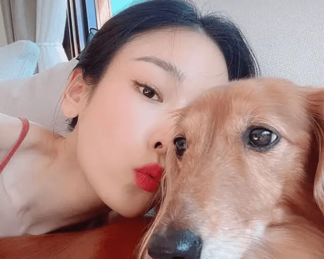 Seo Hyun-jin career struggleswoman-dog-selfie-Dachshund.