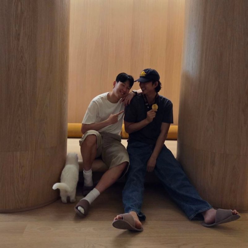 gong yoo son heung-min friendshiptwo-men-cat-indoors-casual.