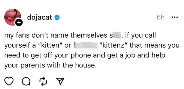 doja cat fan shirt controversyInstagram-DojaCat-Fanbase-Criticism.