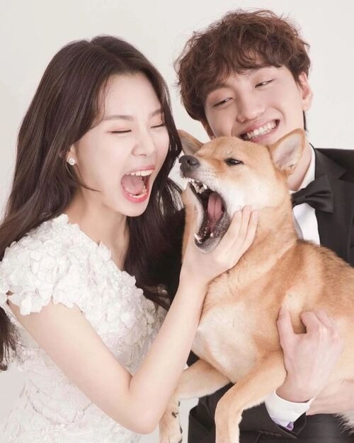 eun jong lawsuitCouple-Dog-OpenMouth-Formalwear.