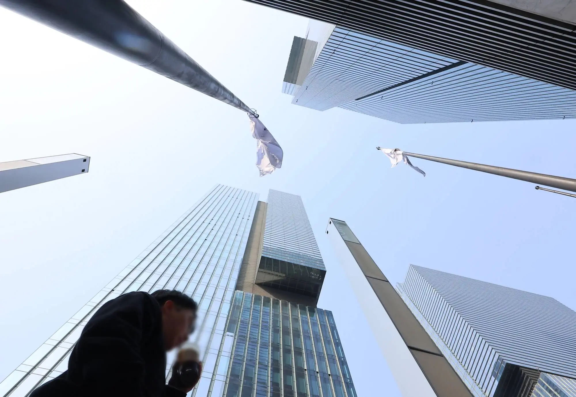 chaebol in south koreaskyscrapers-flags-lowangle-person.