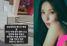 boa-gangnam-graffiti-controversy-thumbnail