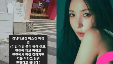boa-gangnam-graffiti-controversy-thumbnail
