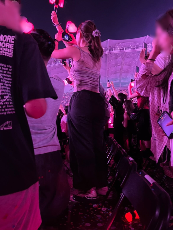 BLACKPINK DEADLINE concert incidentconcert-crowd-fans-pinklight.