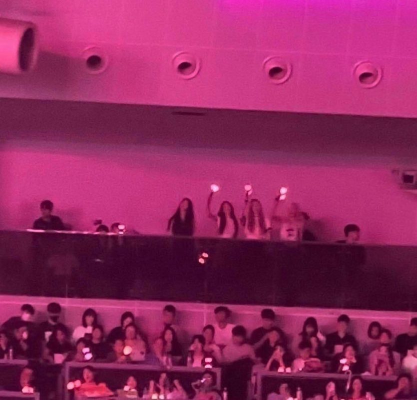 BLACKPINK DEADLINE concertconcert-audience-pink-cheering.