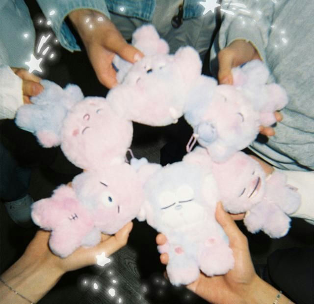 keyring album K-popstuffedAnimals-hands-circle-pastel.